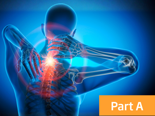 Musculoskeletal Physiotherapy Level 1 Cervical Spine - Part A